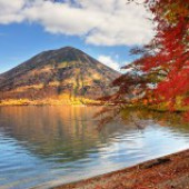 Đừng nói Kekko khi chưa thấy Nikko